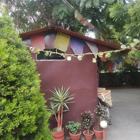 Dream Inn بوكْرا المظهر الخارجي الصورة