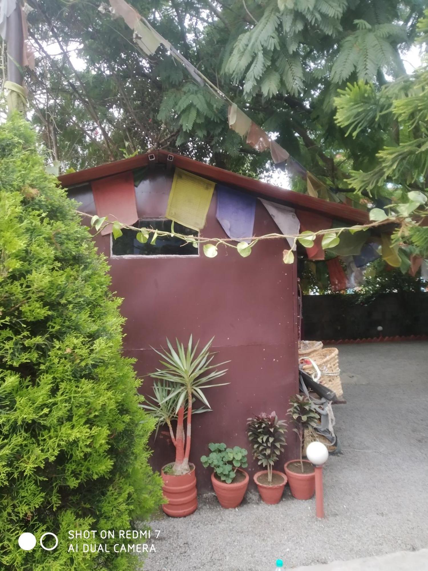 Dream Inn بوكْرا المظهر الخارجي الصورة